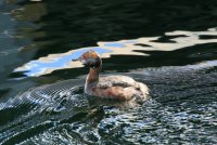 IMG_0001.jpg