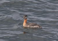 IMG_0003.jpg