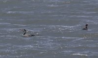 IMG_0004.jpg