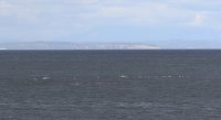 IMG_0003.jpg