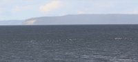 IMG_0004.jpg