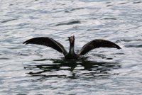 IMG_0001.jpg