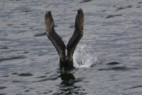 IMG_0002.jpg
