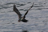 IMG_0004.jpg