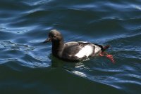 IMG_0004.jpg