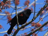 IMG_0003.jpg