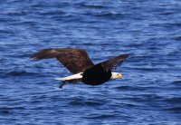 IMG_0001.jpg