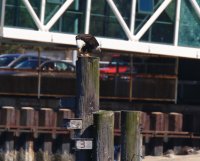 IMG_0003.jpg