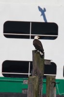 IMG_0004.jpg