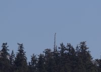 IMG_0005.jpg