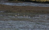 IMG_0001.jpg