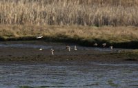 IMG_0002.jpg