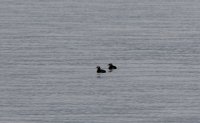 IMG_0002.jpg