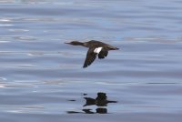 IMG_0004.jpg