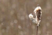 IMG_0001.jpg