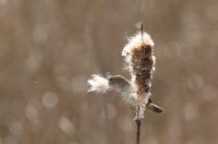 IMG_0002.jpg
