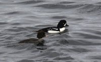 IMG_0004.jpg