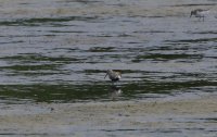 IMG_0005.jpg