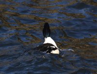 IMG_0004.jpg