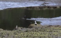 IMG_0002.jpg