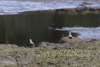 IMG_0003.jpg