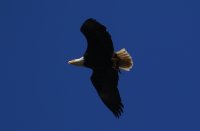 IMG_0006.jpg