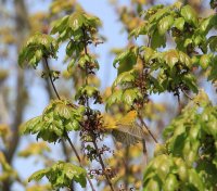 IMG_0001.jpg