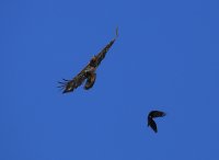 IMG_0001.jpg