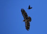 IMG_0002.jpg