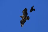 IMG_0004.jpg