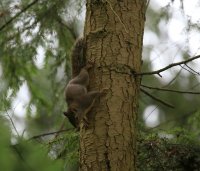 IMG_0001.jpg