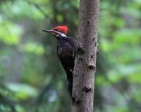 IMG_0002.jpg