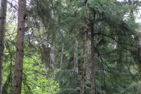 IMG_0003.jpg