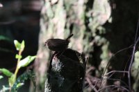 IMG_0001.jpg