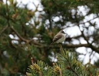 IMG_0002.jpg
