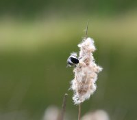 IMG_0002.jpg