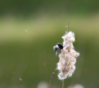 IMG_0003.jpg