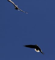 IMG_0003.jpg