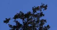 IMG_0005.jpg