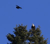 IMG_0003.jpg