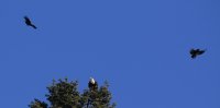 IMG_0001_1.jpg