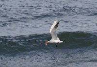 IMG_0001.jpg