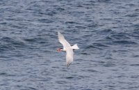 IMG_0002.jpg