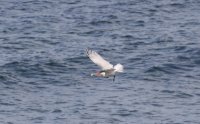 IMG_0003.jpg