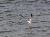 IMG_0006.jpg