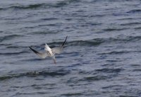 IMG_0007.jpg