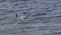 IMG_0008.jpg