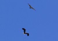 IMG_0002.jpg