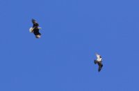IMG_0004.jpg