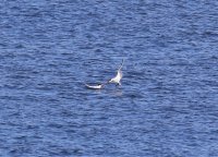 IMG_0002.jpg